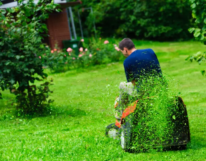 Lawn Mowing in Rio Rancho, NM