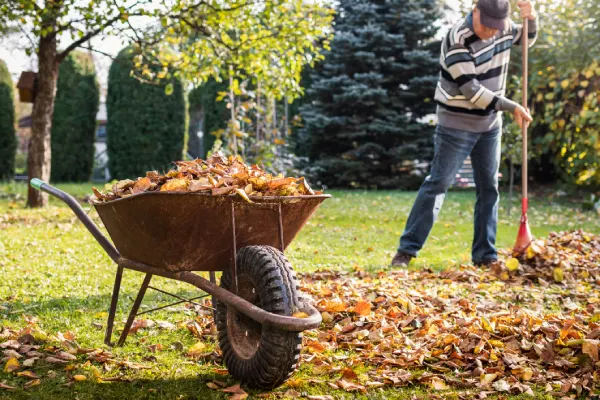 Quality Yard Cleanup in Rio Rancho, NM