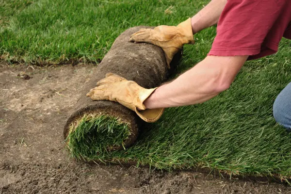 Sod Installation in Rio Rancho, NM