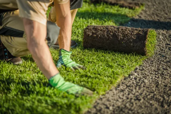 Sod Installation in Rio Rancho, NM